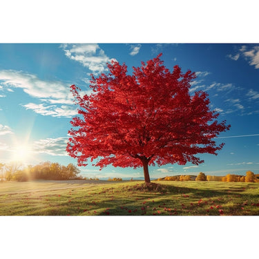 Red Tree Painting